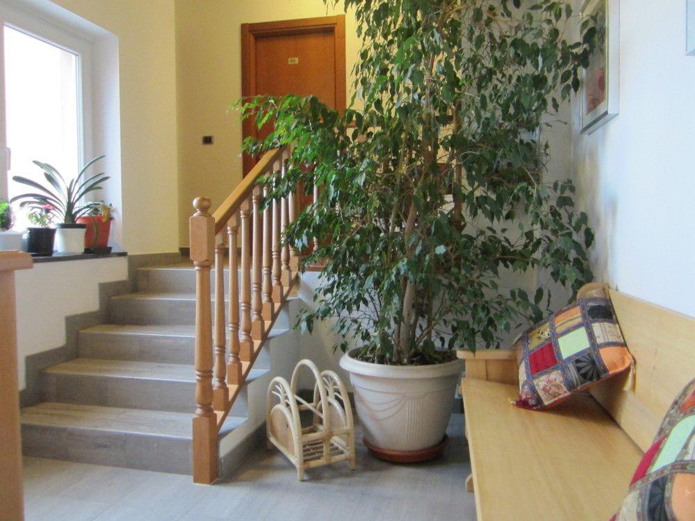 Albergo La Veranda Tavarone ภายนอก รูปภาพ