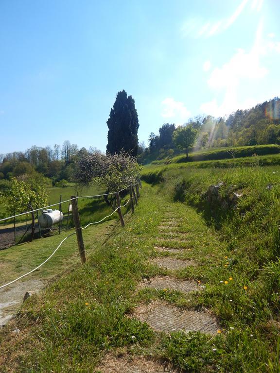 Albergo La Veranda Tavarone ภายนอก รูปภาพ